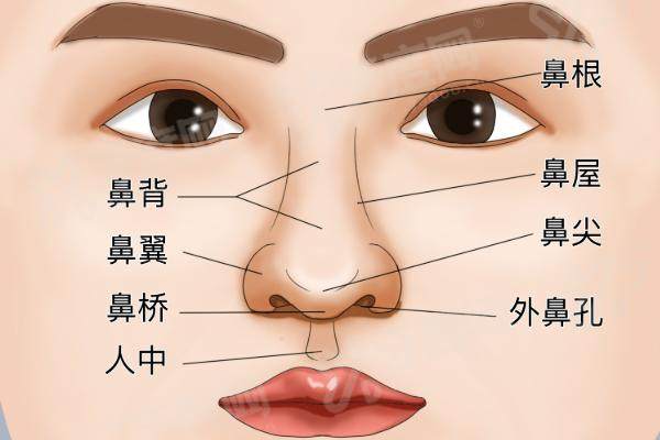 深圳刘冰跟深圳郑文涛谁厉害？都厉害！刘冰更擅长眼整形，郑文涛更擅长鼻整形