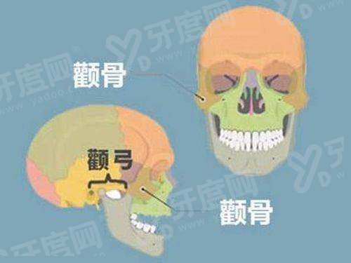 纤姿减肥产品怎么样？效果因人而异，成分助代谢，价格100元起！