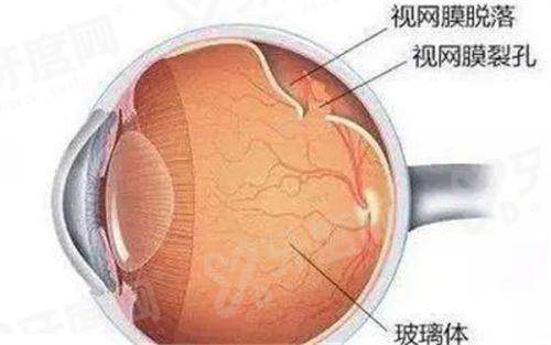 西安麦迪格眼科靠谱吗？靠谱！连锁品牌+医疗保险定点机构，小寨地址超方便