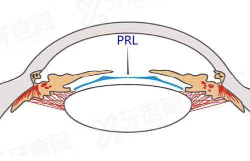 二、南昌十大眼科医院有哪些yanke.yadoo.cn