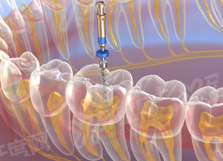 四、上海仇兰英口腔医院就诊指南（地址+预约方式）yanke.yadoo.cn