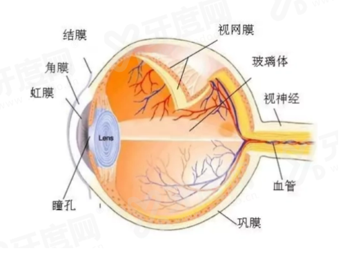 商丘尖峰眼科全飞秒多少钱？14800-21800元价格透明，专家团队帮你放心摘镜