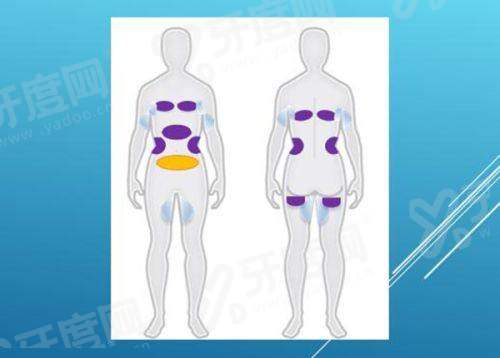 三、籍建华轮廓整形的预约方式及医院地址yanke.yadoo.cn