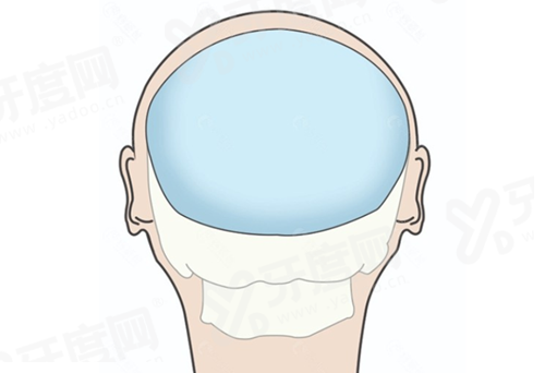 二、南京朱晓波做卧蚕成效如何？真实实例分享yanke.yadoo.cn