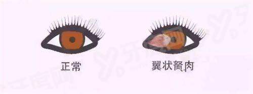 四、天水爱尔眼科医院坐诊地址及乘车路线yanke.yadoo.cn