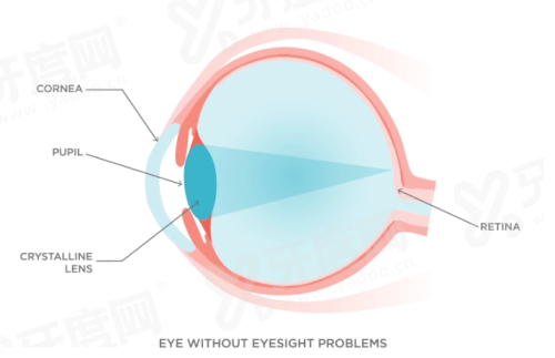 四、保定市第一中 心医院眼科预约挂号方式yanke.yadoo.cn