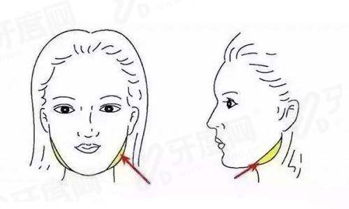 三、温建民拇外翻相关费用及预约方式yanke.yadoo.cn