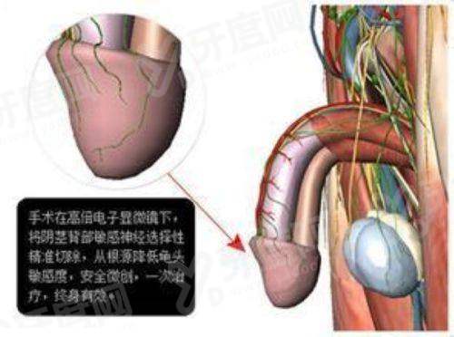 三、广西爱思特整形外科医院属于哪个区yanke.yadoo.cn