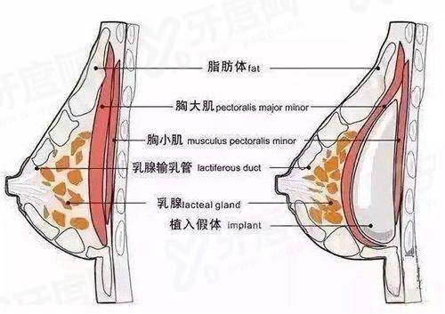 广西爱思特整形外科医院用户真实点评怎么样？资质正规，技术靠谱