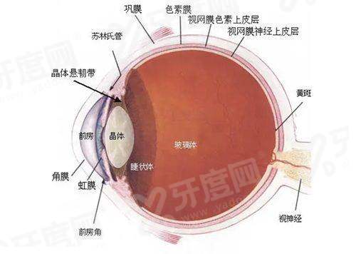 常德市第一人民医院眼科营业时间公布？周一至周日全接诊，无假日门诊更贴心