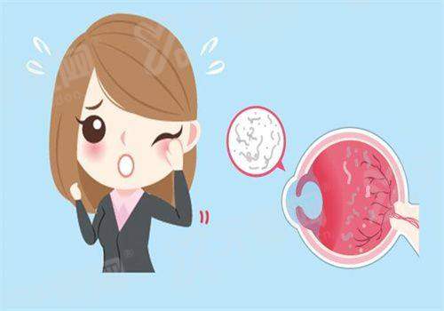 总结yanke.yadoo.cn