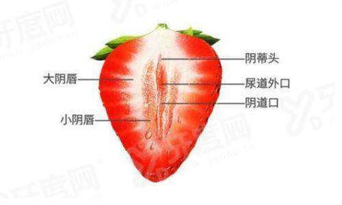 二、郑州东方整形美容医院怎么样？口碑与实力兼备的美丽殿堂yanke.yadoo.cn