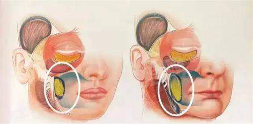 二、广州曙光医学美容医院口碑怎么样?yanke.yadoo.cn