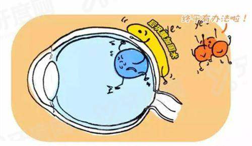 三、去贵州爱尔眼科贵不贵yanke.yadoo.cn