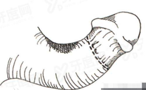 二、上海美立方医疗美容医院价格表yanke.yadoo.cn