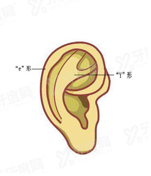 二、大连爱德丽格整形医院预约挂号yanke.yadoo.cn