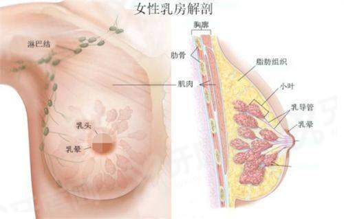三、如何预约乔爱军 医生及就诊指南yanke.yadoo.cn