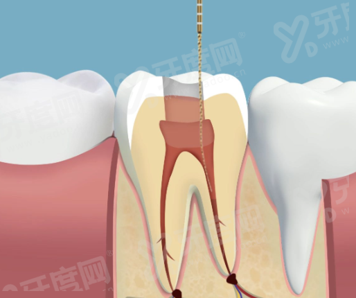 三、介绍上海中喜慧丽口腔医院地址电话？（地址便捷，电话畅通，方便询问预约）yanke.yadoo.cn