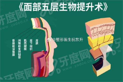 二、深圳非凡医疗美容医院地址在罗湖区人民北路 2083 号yanke.yadoo.cn