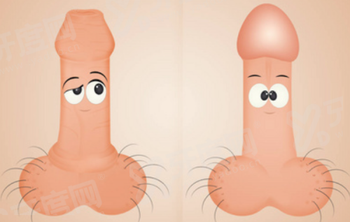 二、吉林市星范整形医院价格表yanke.yadoo.cn