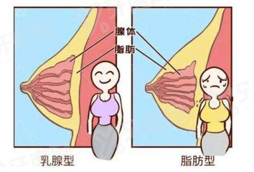 二、东莞壹加壹的医生团队有哪些技术特色？yanke.yadoo.cn