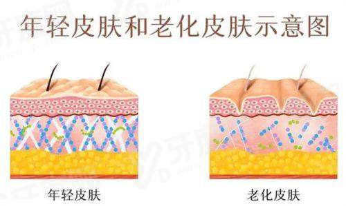 一、东莞壹加壹整形美容医院是国有的吗yanke.yadoo.cn