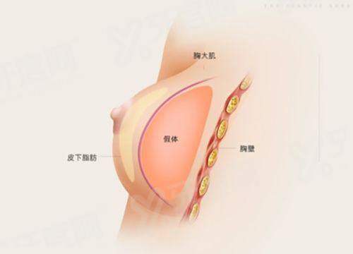 三、上海碧莲盛张鹏程植发地址电话yanke.yadoo.cn