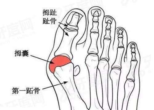 三、上海沪中医疗美容医院价格表yanke.yadoo.cn
