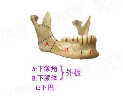 三、上海沪中医疗美容医院地址电话yanke.yadoo.cn