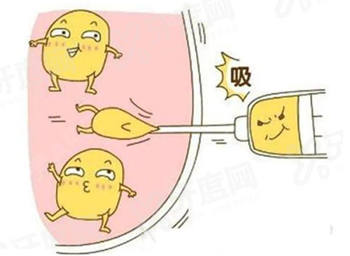 二、昆明青丝植发地址yanke.yadoo.cn