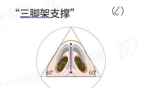 三、上海悦莱医疗美容医院地址在哪里yanke.yadoo.cn
