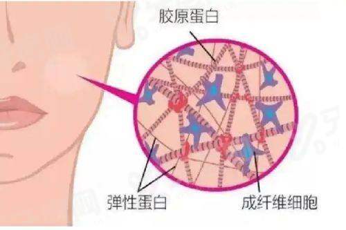 二、杭州艺星整形医院的医生团队靠谱吗?yanke.yadoo.cn