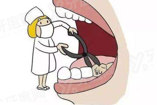 二、北京海豚口腔医院怎么样yanke.yadoo.cn