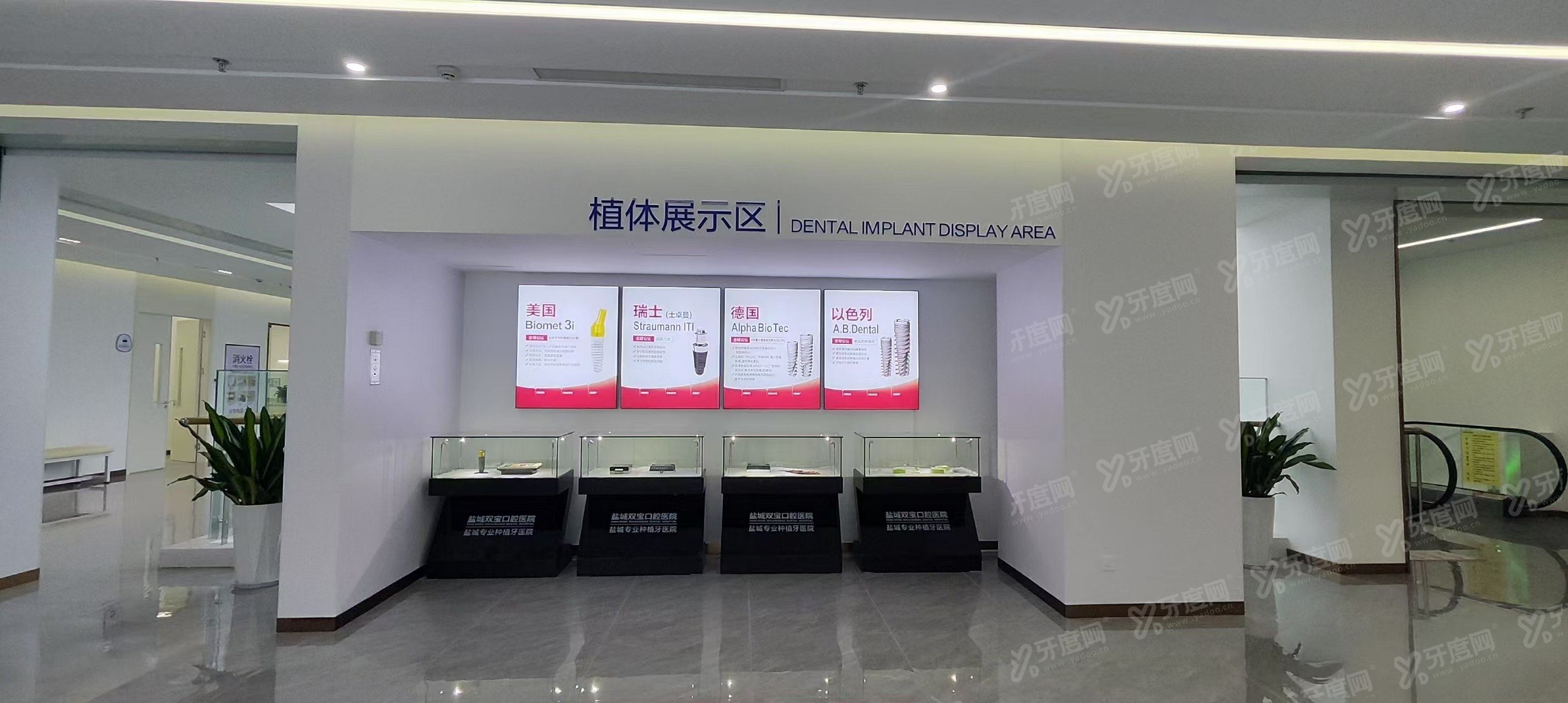 商丘双宝口腔医院进口植体定价多少？瑞士 ITI 8800 起国产 2980 元亲民