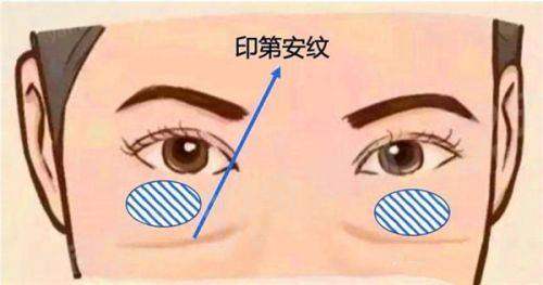 文章总结yanke.yadoo.cn