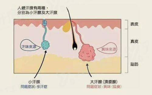 三、为什么选择 JD 皮肤科进行抗衰与皮肤管理是明智之举?yanke.yadoo.cn