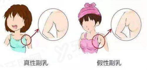 三、如何通过多种渠道效率高完成韩国reberry皮肤科预约？yanke.yadoo.cn