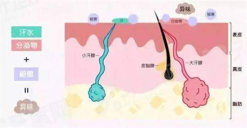 二、韩国 JD 皮肤科医生团队与技术实力如何?从业多年院长领衔打造放心医美yanke.yadoo.cn