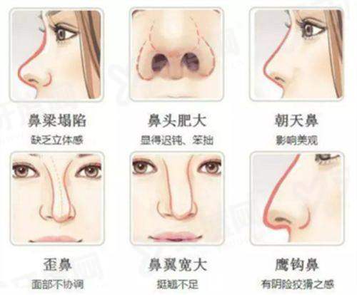 五、如何通过首尔Eonni小程序实现快速预约与行程规划?yanke.yadoo.cn