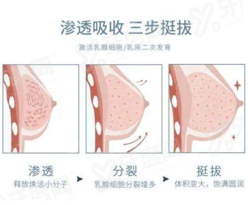 三、在鹿美人皮肤科做热门项目大概需要多少预算?yanke.yadoo.cn