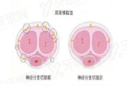 二、韩国济州 NowMedi 医院有哪些特色项目值得体验?yanke.yadoo.cn