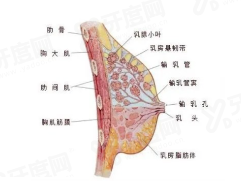 一、韩国清潭Dear 皮肤科预约平台怎么选?三大核心策略助您避坑yanke.yadoo.cn