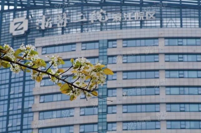 浙江大学医学院附属第二医院马婧媛医生怎么样？www.yadoo.cn