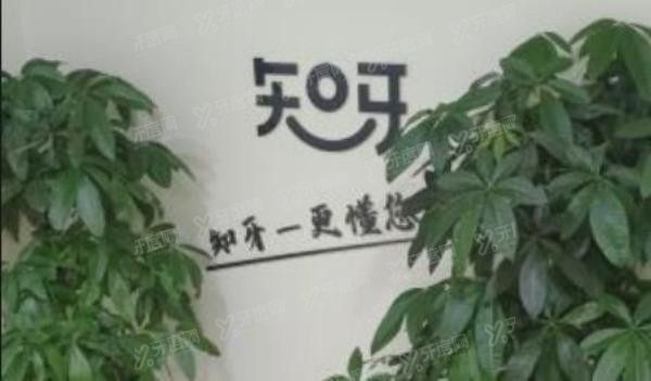 呼市哪里镶牙便宜又好?呼和浩特知牙口腔.jpg