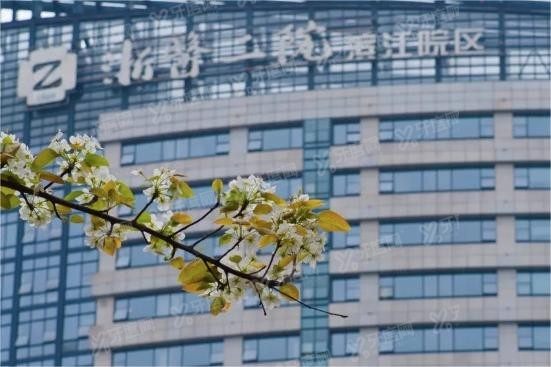 浙江大学医学院附属第二医院正畸多少钱www.yadoo.cn
