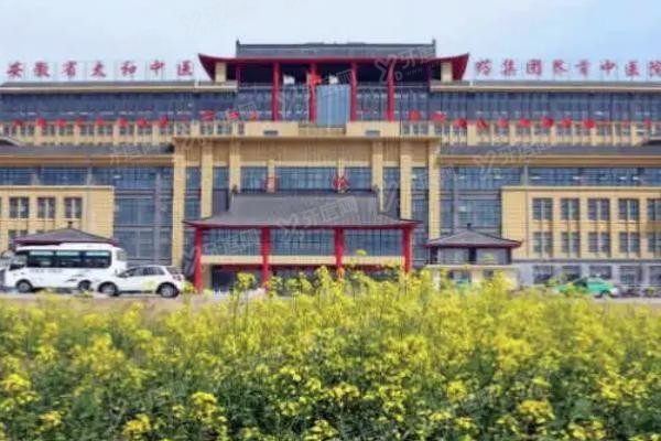 太和县中医院口腔科收费标准www.yadoo.cn