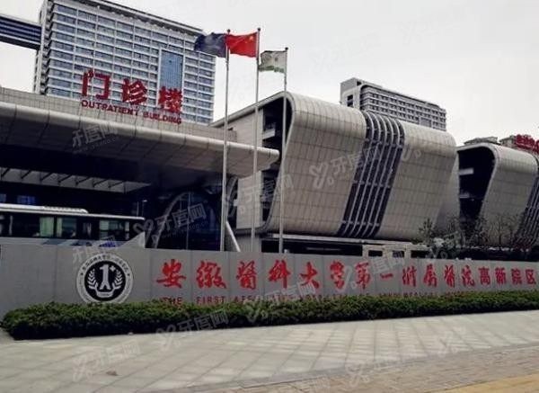 安徽医科大学第一附属医院口腔科价格表www.yadoo.cn20230901725097.jpg
