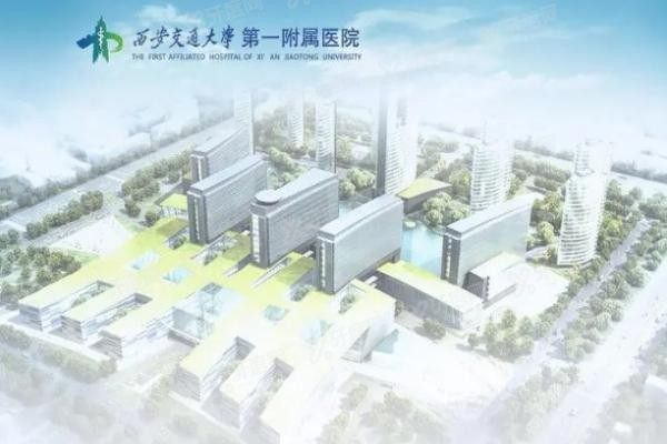 西安交通大学第一附属医院口腔科收费标准www.yadoo.cn20231025828805.jpg