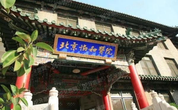 北京协和医院口腔科收费标准m.yadoo.cn