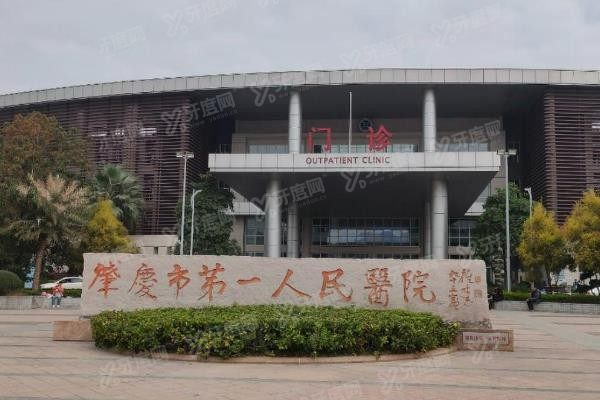 肇庆市第一人民医院口腔科种植牙价格表www.yadoo.cn